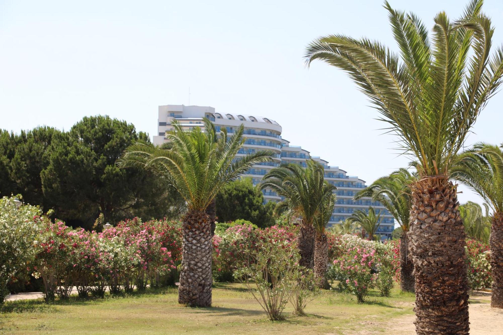 Venosa Beach Resort & Spa Didim Exterior foto